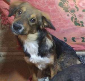 ������!!! ����� �������� ����� �� �����! - ����������� 1