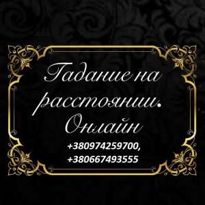 ������ �����, �������� ���������, ����� ���������. ������� ������. - ����������� 1