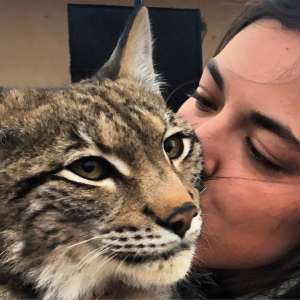 ������ ����� ��������� ���� � ����������� ����.� ������� ���� - ����������� 1