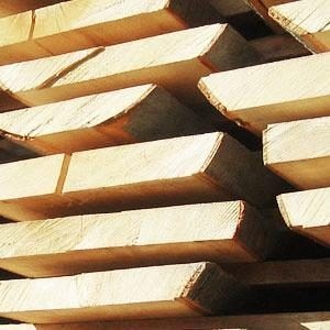 ������ ����� ��������� ����� ����� ����� ���� �������� ����� - ����������� 1