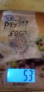 ������ �����. ��������� ������. - ����������� 1