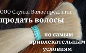 ������ ����� ���������. ������� ������ � ����������. - ����������� 1