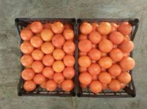 ������, �����, ���������, �������� � �������� �� ������. - ����������� 1