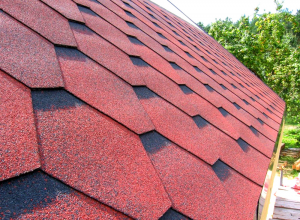 ������ �����, ���������� ���� 0995044240, 0687564580 - ����������� 1