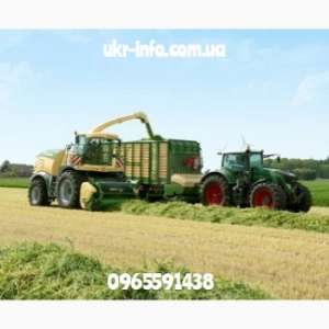 ������ ����� ����,�����,�����,������ ������ �����-���������� �������. - ����������� 1