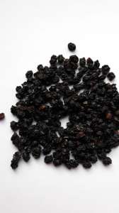 ������ ������ - ����������� 1