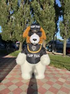 ������ ������ - ����������� 1