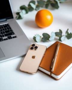 ������ ������ ��� ���� - ����������� 1