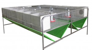 ������ ������ ��� ��������, ������������ ������������. - ����������� 1