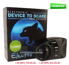 ������ ������ ��� ����������� ��������,����� ������ ���� - ����������� 1