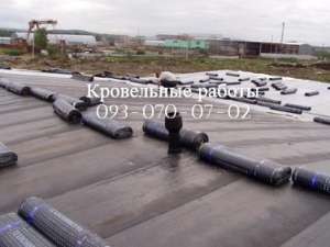 ������ ( ������ ���� ) � ������ - ����������� 1