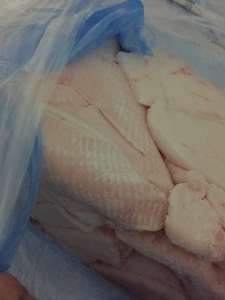 ������ ������ ���� ����� - ����������� 1