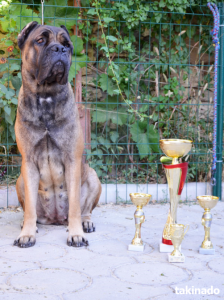 ������ ������ ���� ����� - ����������� 1