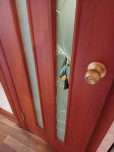 ������, ������ ����, ���������, ������� ������ - ����������� 1