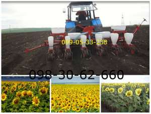 ������ ������ ����-8 � �����. ���� ������� ������ ����8-6 - ����������� 1