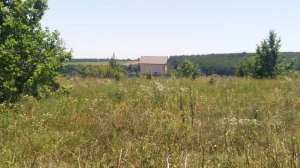 ������ ������ ������� ��� ��������� - ����������� 1