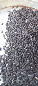 ������ ������ ��������� �� �������� �. ��������������� - ����������� 1