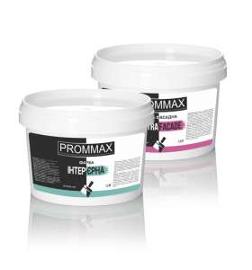 ������ ������ ����������� PROMMAX �� ������������� - ����������� 1