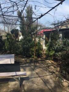 ������ ������ ����������� ��� �� �������� � �������� 12 ����� - ����������� 1