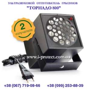 ������ ������ ������������ �� �������� �� 800 ��.� ������ - ����������� 1