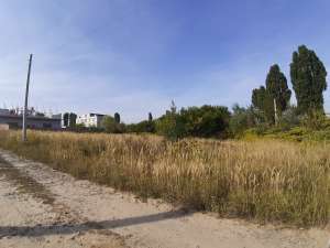 ������ ������� � ����� ��� ��������� ����������� �-�. - ����������� 1