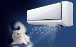 ������, ������� � ������� ��� ����������� - ����������� 1