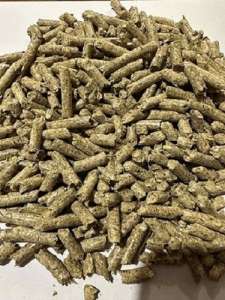 ������ ������� � �������� ���� ����� �������. - ����������� 1