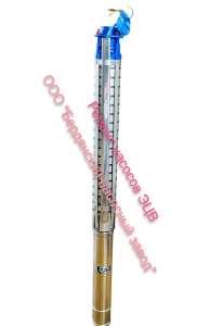 ������ ������� ��� 5, ��� 6 | ������� | �������� ����������� ������ - ����������� 1