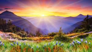 ������ ������� ����� ������ � ������ - ����������� 1