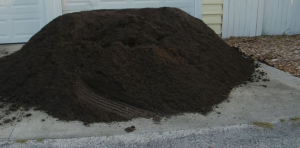 ������ ������� ����� �������� �������� ����� ������� ����� - ����������� 1