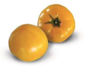 ������ ������� ������ KS 10 F1 (������) - ����������� 1