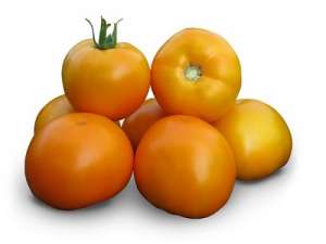 ������ ������� ������ KS 17 F1 ����� ������ - ����������� 1