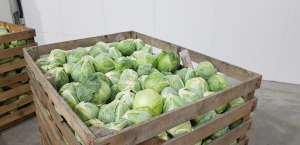 ������ ������� ������ . ����. - ����������� 1