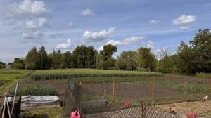 ������ ������� ������� - ����������� 1