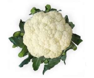 ������ ������� ������� VANZA F1 / ����� F1 ����� ������ - ����������� 1