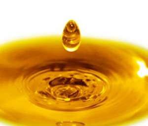 ������ ������� ������� ��� �������� - ����������� 1