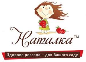 ������ ������� ������� �������: ��������, ������, �������� � ������. - ����������� 1