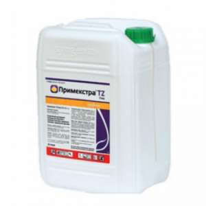 ������ ������� ���������� ���� - ����������� 1