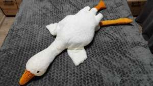 ������ ������� ���������� ������� ����-�������� ���� �������� 135 �� - ����������� 1