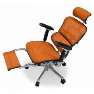 ������ ������� ������������ Ergohuman - ����������� 1