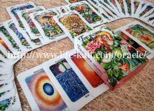 _������ ������� ������������ �� ���� ������ ������� ������� - ����������� 1