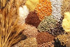 ������ ������� ������������ ����������� ����� ��� ������ - ����������� 1