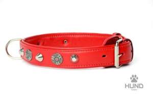 ������ �������� 4-������� ������� 30 �� � ���������� - ����������� 1