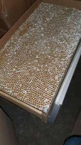 ������ �������� CREDO(��������). - ����������� 1