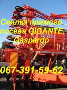 ������ �������� Gaspardo Gigante - ����������� 1