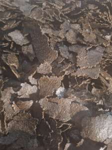 ������. ��������. - ����������� 1