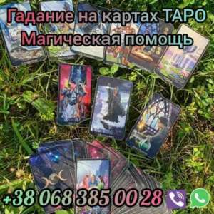 ������ �������� � �����. ������ �������� ���� � �����. - ����������� 1