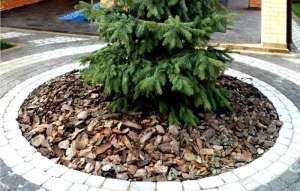 ������ �������� ���� - ����������� 1