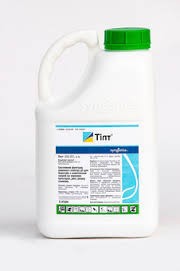 ������ �������� ���� - ����������� 1