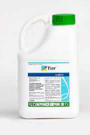 ������ �������� ���� - ����������� 1